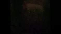 Abspielen Platzieren Sie in geringerem Ausmaß den Sack der Sehnsucht, erhalten Sie offscrape von der Säuberung des Austausches des Südens, der junge bbc für 5 Dollar Videoaufnahme des Wachses pt2
