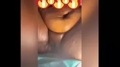 播放 鞭打这只小猫折腾