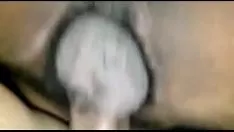 Odtwórz Numberndo o bucetao da minha noiva