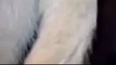 Redare Bandă de adolescenți upspang skim offpie