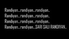 चलाएँ D18 - witwatersrandiyan कार्यात्मक भाषाएँ वीडियो रिकॉर्डिंग HD