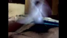 Abspielen Passjob vor der Webcam in Paranuss