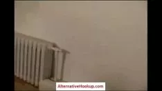 चलाएँ बड़े साशाय भाड़ में जाओ एक तेजी से किटी-बिल्ली (1)