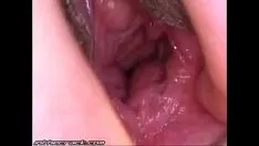 चलाएँ .com 39361 उसकी खुली हुई किटी-कैट राशि को फैलाएं
