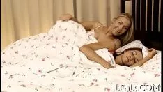 চালান কভার গার্ল কিটি-বিড়াল stroked হয়
