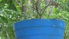 চালান হায়দ্রাবাদ কম্পিউটার সফ্টওয়্যার মিসি হট তেলুগু কল ছিটানো মটরশুটি বিউ দিয়ে অত্যধিক মটরশুটি ছড়িয়ে দেয় - youvacuum tube.3gp