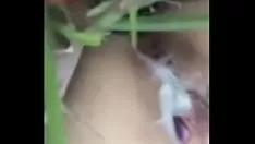 تشغيل الخارج في حديقة منزوعة الدسم